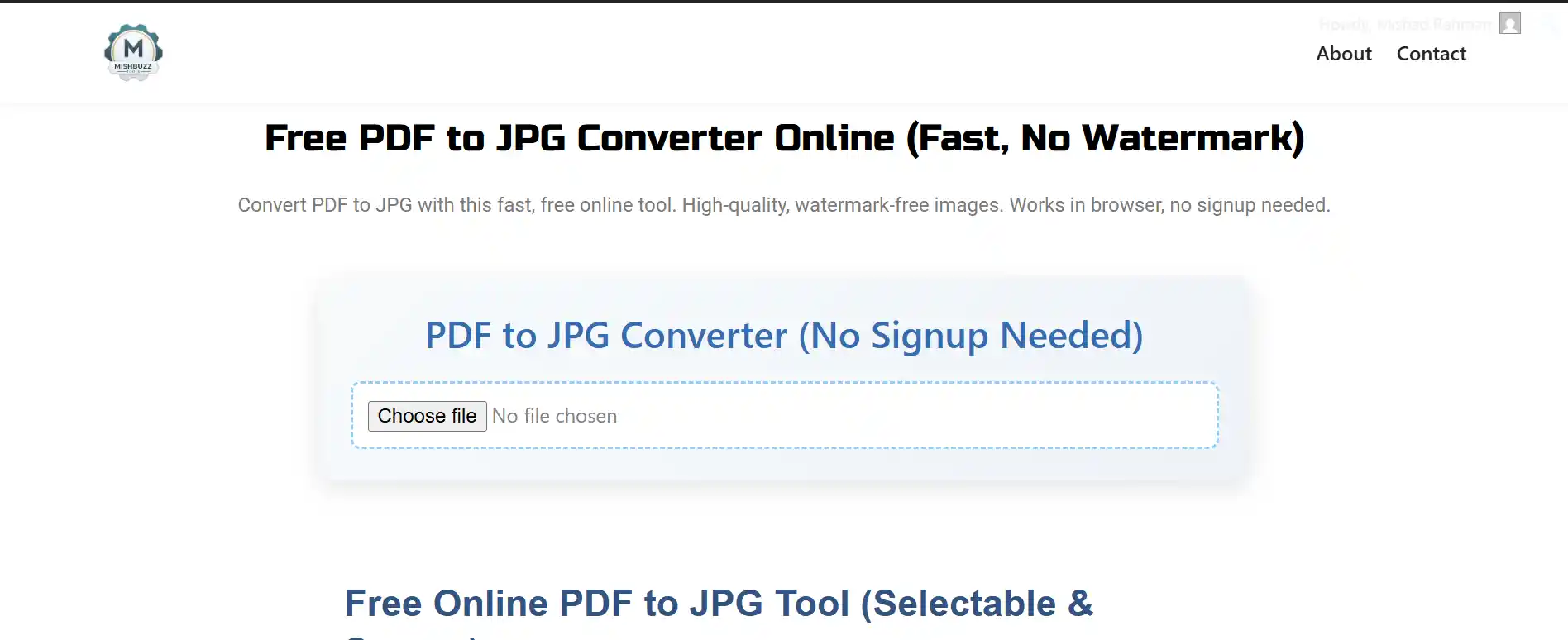 PDF to JPG Converter - Secure Browser-Based Tool